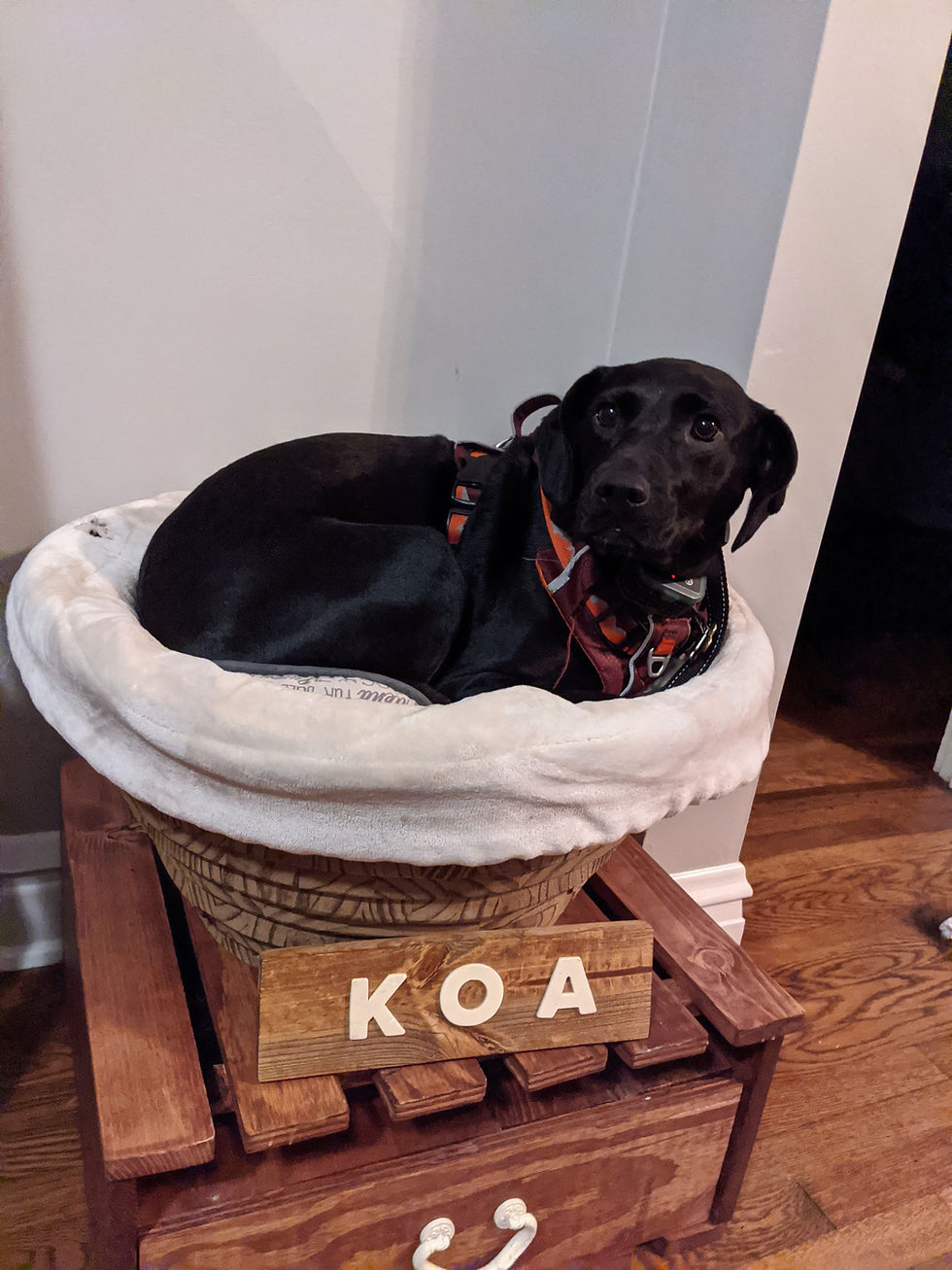Thumbnail: Solid Handcrafted Wooden Dog Bed/Throne