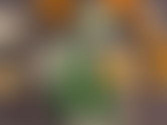 Addetto/a al ritiro merci