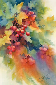 English Hawthorn watercolor art by Linda Wokoun artist.jpeg
