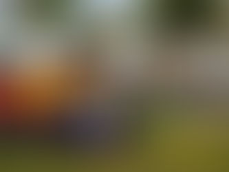 Barranquilla, Capital de Urbanidad y Transformación Social