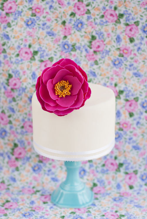 Cake by Luciana Borges