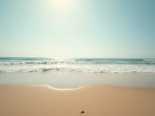 Top Surfing Beaches for Beginners and New Surfers