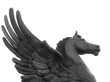 horse-1051925_1920_edited.png