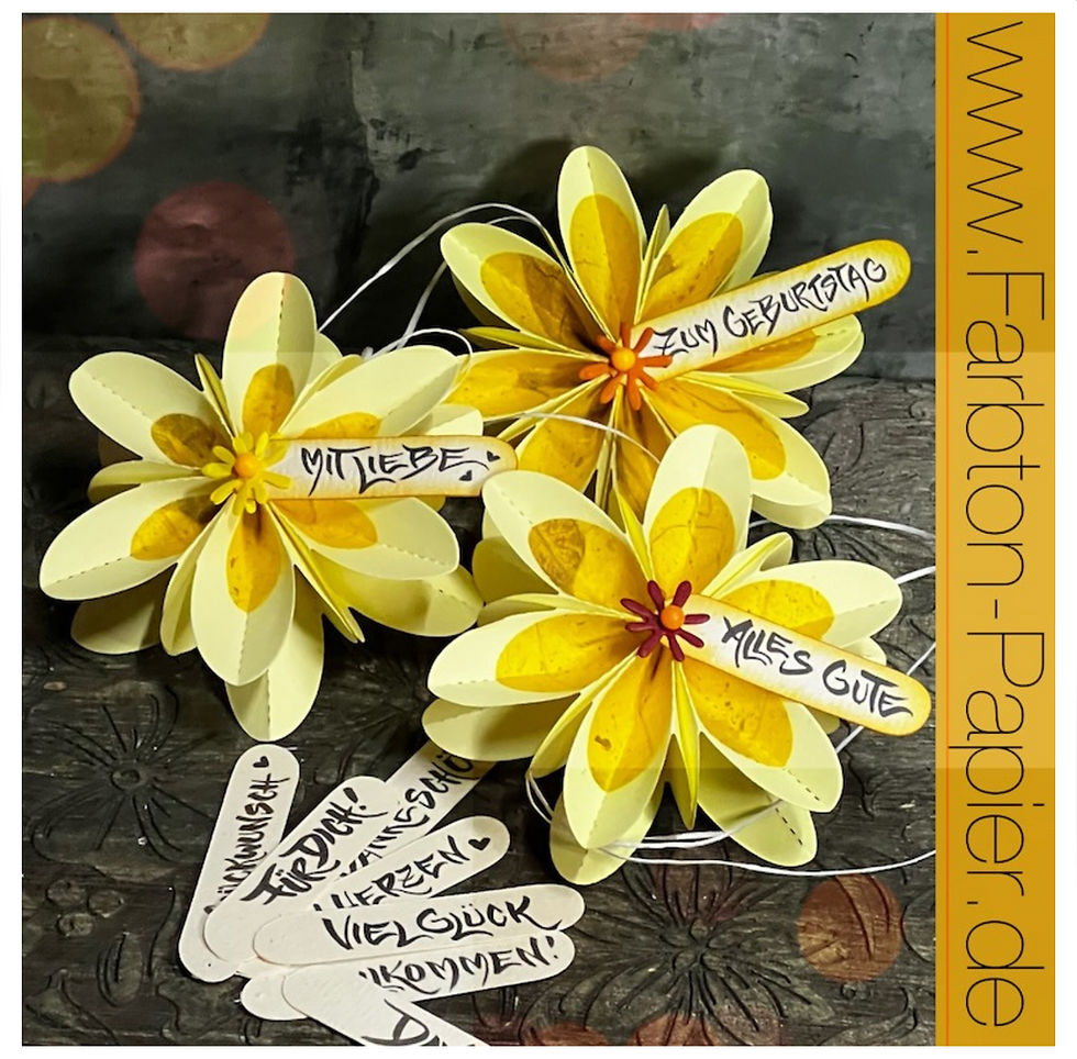 Miniaturbild: Stanzform Zubehör-Set 105 von Farbton-Papier