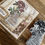 Miniaturbild: Stampers Anonymous BOTANIC COLLAGE von Tim Holtz