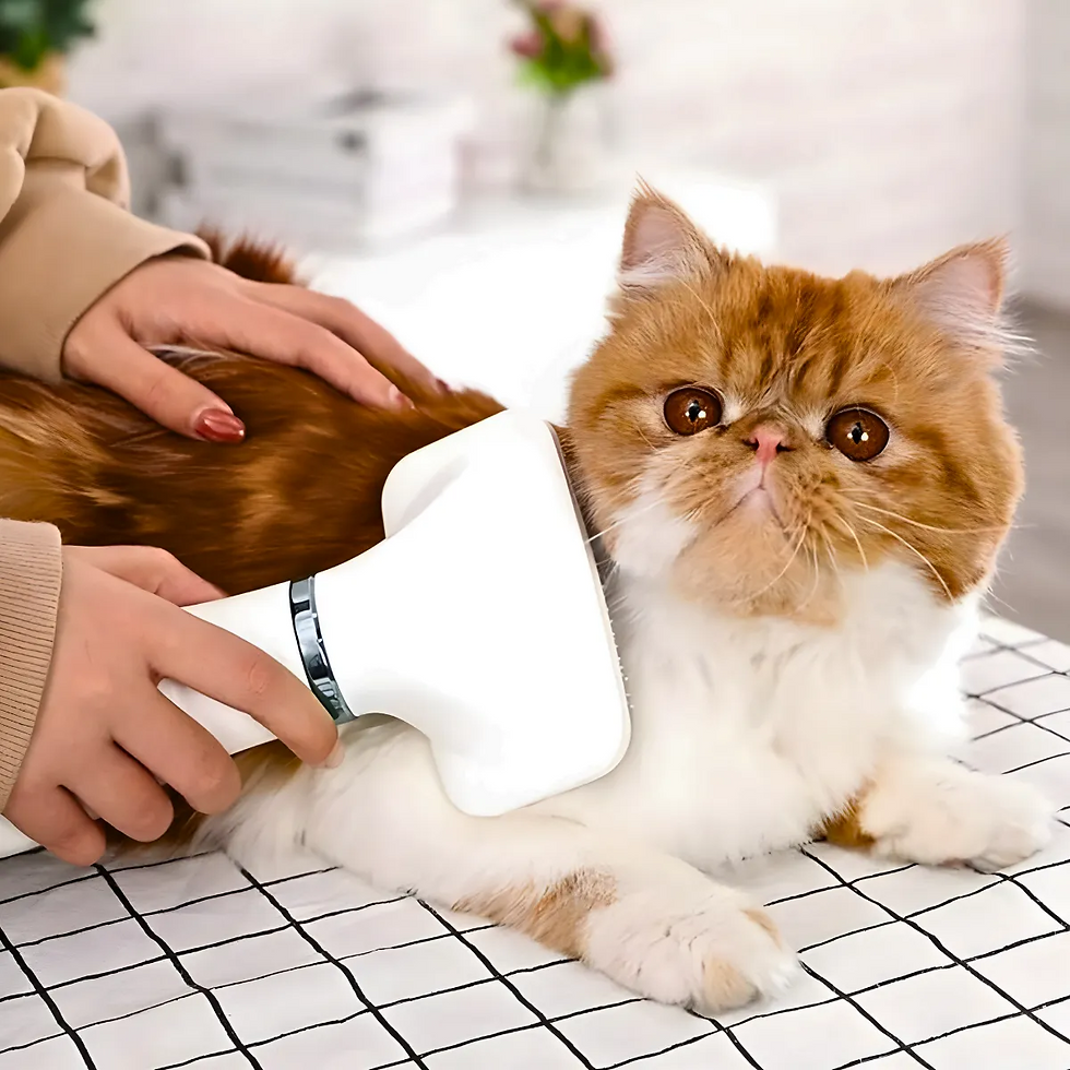 Miniatura: Secador Pet 3 em 1 AirGroom