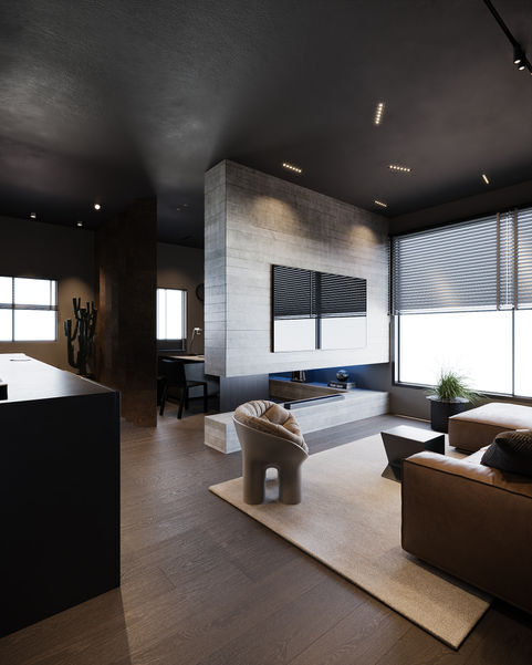 Modern living room in a gentleman apartment with TV and fireplace.