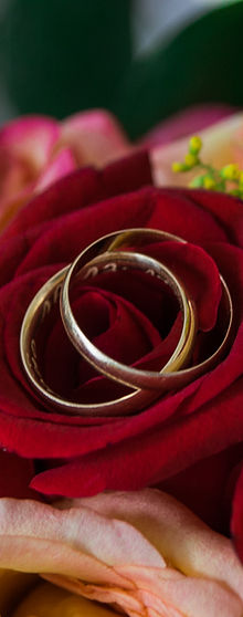 Casamento (28).jpg