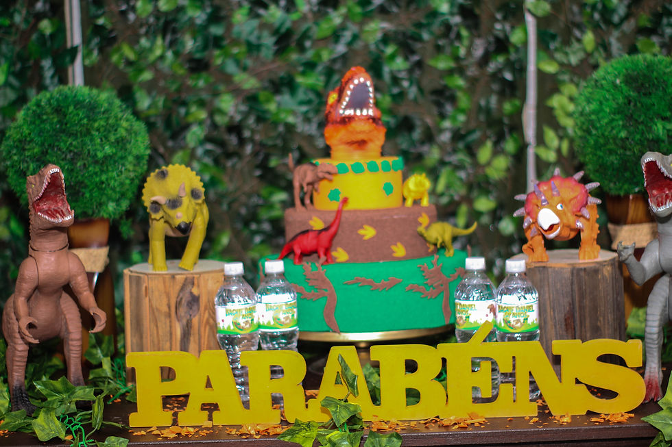 niver (43)