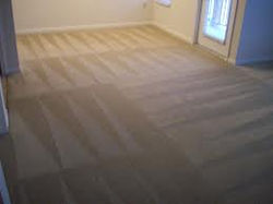 CARPET14.jpg