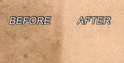 CARPET15.jpg