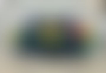 Rumbo a los preliminares de los Juegos Asiáticos. Entrevista con el equipo nacional de Corea.