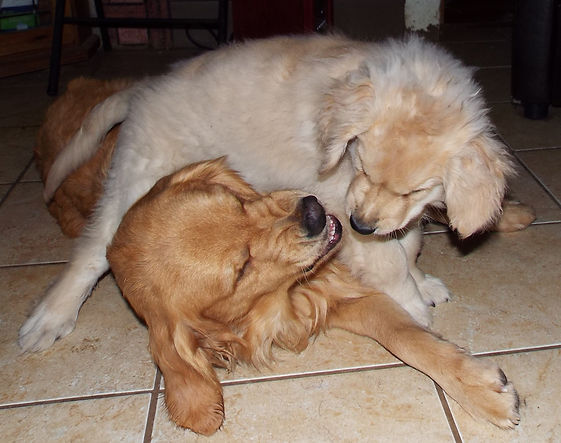 Baby Boy and Krista 1 1 2015 2(1).jpg