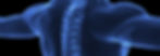 bigstock-Human-Spine-In-Xray-6382078-e1560434184645-1024x365.jpg