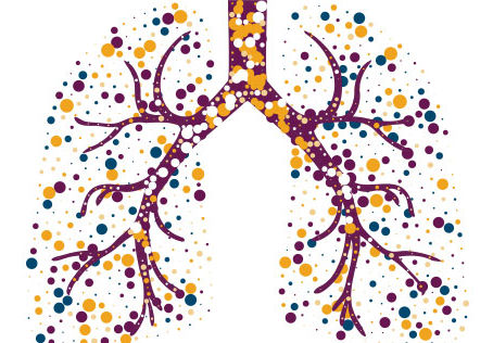 Maximize Your Breathing