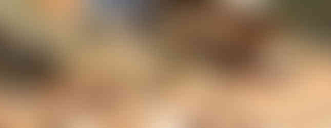 Conqueror Canada Off Road Campers