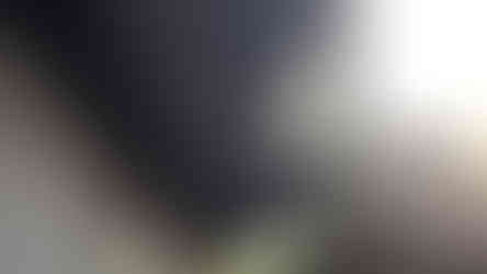 Liens de suspension (Shackles)