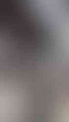 Liens de suspension (Shackles)