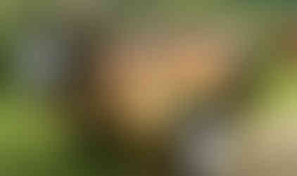 Conqueror Canada Off Road Campers