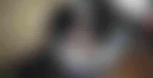 La caravane Encore ROG 14RKB