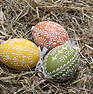 Easter Eggs on Hay
