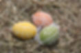 Easter Eggs on Hay