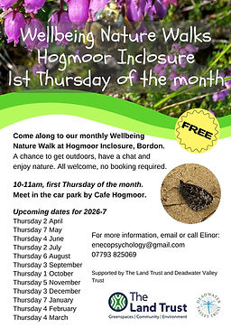2026 Hogmoor Wellbeing Walks Poster (1).jpg