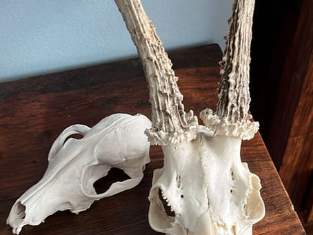 Rangers Log June 10th