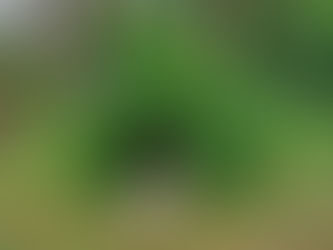 Rangers Log June 10th