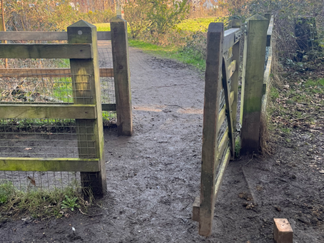 Rangers Log February 25th