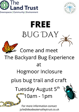 Bugs.png