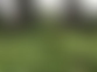 Rangers Log July 1st