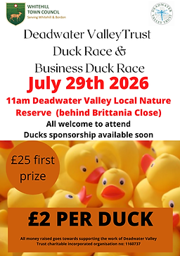 duck race 2025.png