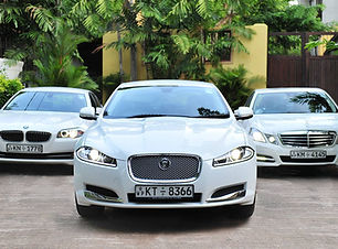 12244378_1142947335717753_54486384636217