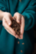 aromatic-roasted-coffee-beans-closeup.jpg