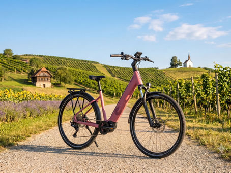 Hepha Trekking 8 Ultra Performance E-Bike