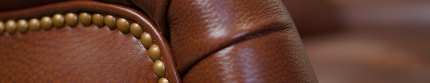 Leather Couch 01.png