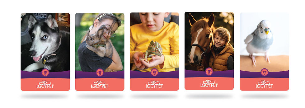 LGCY_cards group.jpg