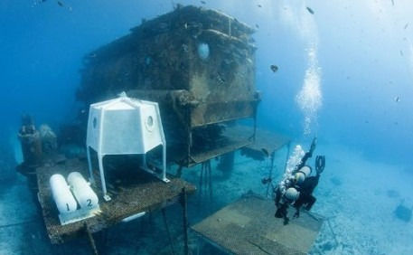 Aquarius Reef Base. Aquarius Reef Base, underwater research laboratory, underwater sea lab. CarbonEthics Indonesia