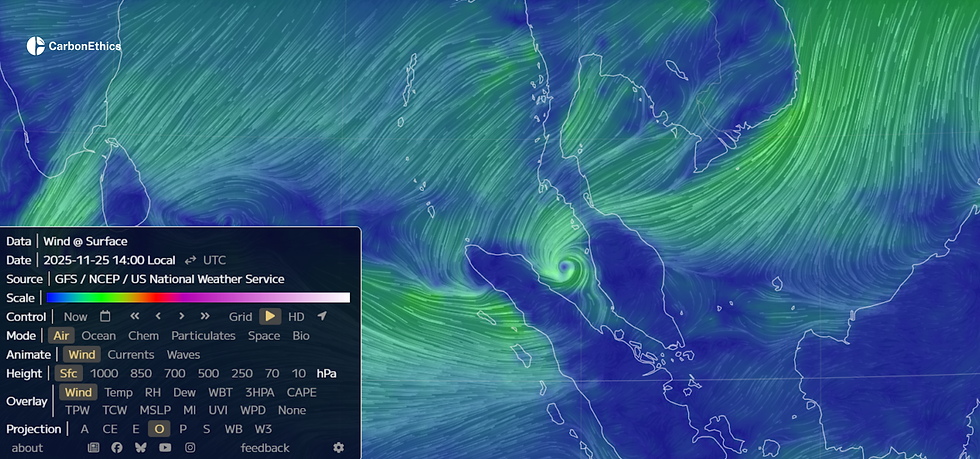 Cyclone Conditions on November 25, 2025 (Earth : a global map of wind, weather, and ocean conditions)