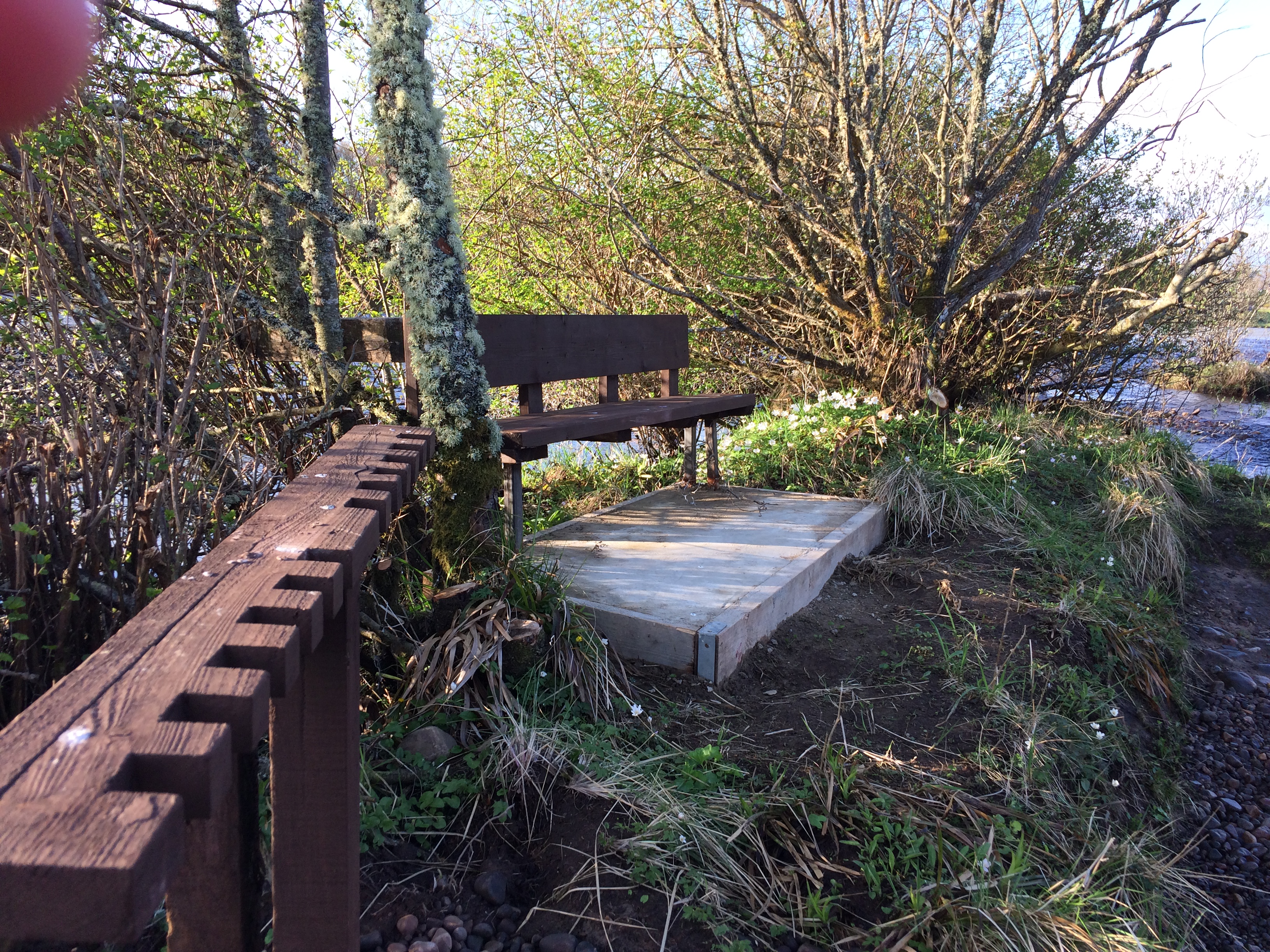 Bush pool finished