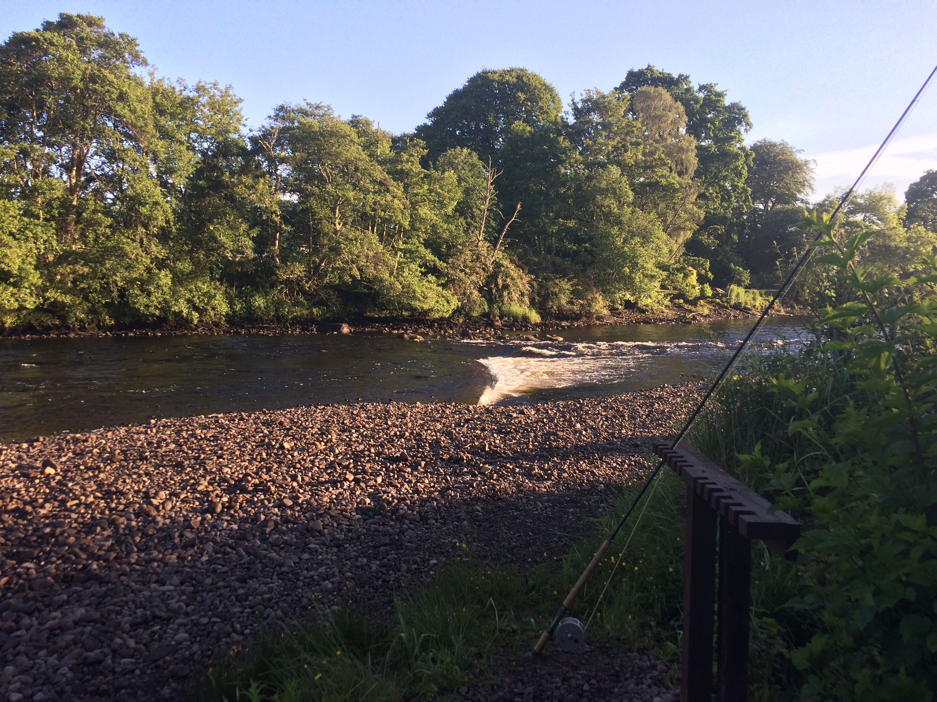 Bush pool