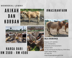 Iklan Korban & Akikah