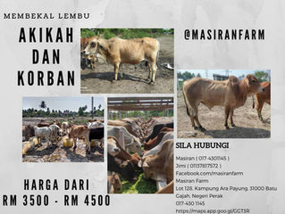 Iklan Korban & Akikah
