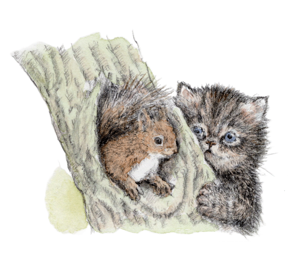 キジトラとリス
