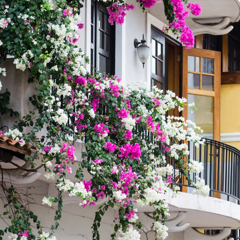 Short-Term vs Long-Term Rentals in Panama: 2026 Guide