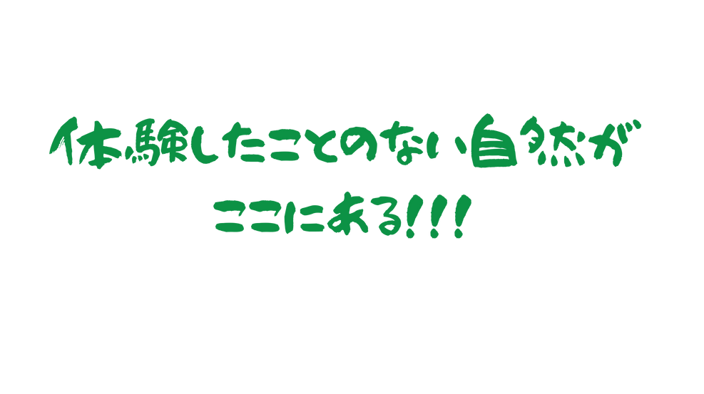 見出しを追加 (1).png