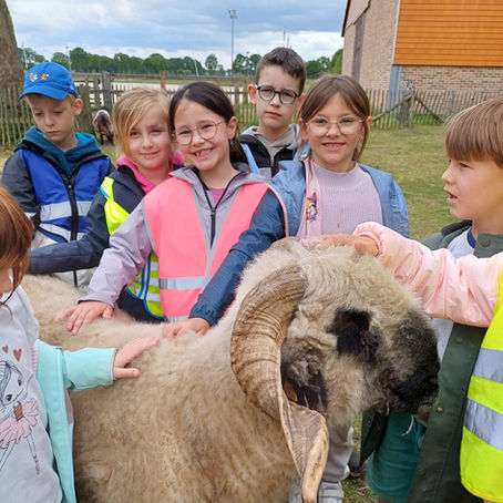 L1 en L2 dag 1 en 2 knuffelboerderij: