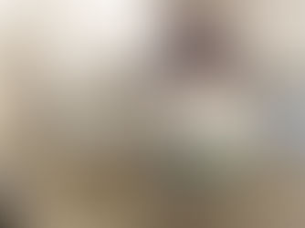 MBH Architects & Allbirds' New San Francisco HQ