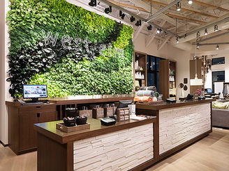 Deepening the Synergy: Operationalizing the Unity of Visual Merchandising and Store Design
